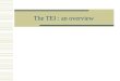 The TEI : an overview