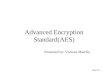 Advanced Encryption Standard(AES)