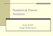 Numerical Power Analysis