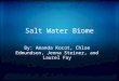 Salt Water Biome