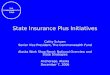 State Insurance Plus Initiatives