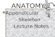 Appendicular              Skeleton        Lecture Notes