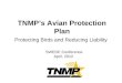 TNMP’s Avian Protection Plan