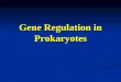 Gene Regulation in Prokaryotes