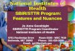National Institutes of Health SBIR/STTR Program: Features and Nuances