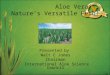 Aloe Vera:  Nature’s Versatile Herb!