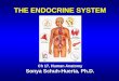 THE ENDOCRINE SYSTEM Ch 17, Human Anatomy Sonya Schuh-Huerta, Ph.D