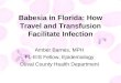 Babesia in Florida: How Travel and Transfusion Facilitate Infection