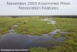 November 2009 Kissimmee River Restoration Features