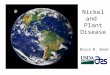 Nickel and  Plant Disease