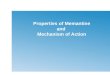 Properties of Memantine and  Mechanism of Action