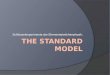 The Standard  Model