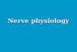 Nerve physiology