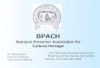 BPACH Bamiyan Preserver Association for Cultural Heritage