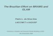 The Brazilian Effort on BRAMS and OLAM Pedro L. da Silva Dias LNCC/MCT e IAG/USP