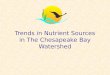Trends in Nutrient Sources in The Chesapeake Bay Watershed