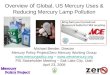 Overview  of  Global, US Mercury Uses &  Reducing Mercury Lamp Pollution