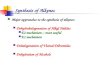 Synthesis of Alkenes