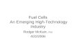 Fuel Cells  An Emerging High-Technology Industry