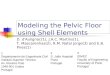 Modeling the Pelvic Floor  using Shell Elements