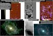 A Deep Photometric Study of M83 with the DuPont and Magellan Las Campanas Telescopes