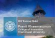 CIO Training Model Pravit Khaemasunun College of Innovation Thammasat University