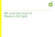 BP and the Gulf of Mexico Oil Spill