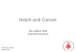 Notch and Cancer