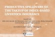 Productive  spillovers  of The  Takeup  of index-based livestock insurance