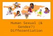 Human Sexual (& Gender?) Differentiation