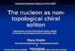 Graduiertenkolleg Freiburg 24-02-2007  The nucleon as non-topological chiral soliton
