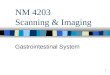 NM 4203 Scanning & Imaging