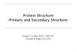 Protein  Structure -Primary and Secondary Structure-