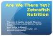 Are We There Yet? Zebrafish Nutrition