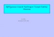 NPDgamma  Liquid Hydrogen Target Safety  Review