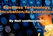 Business Technology Incubation/Acceleration