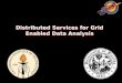Distributed Services for Grid Enabled Data Analysis