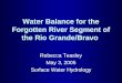 Water Balance for the Forgotten River Segment of the Rio Grande/Bravo