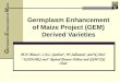 Germplasm Enhancement of Maize Project (GEM) Derived Varieties
