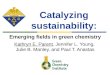 Catalyzing sustainability:
