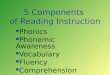 5 Components  of Reading Instruction