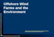 Offshore Wind Farms and the Environment