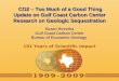 Susan Hovorka Gulf Coast Carbon Center Bureau of Economic Geology