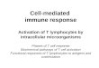 Molecules involved in T cell activation