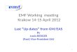 EMF Working  meeting  Krakow 14-15 April 2012