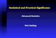 Statistical and Practical Significance