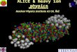 ALICE & heavy ion physics