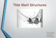 Thin Shell Structures