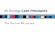 AS Biology  Core Principles