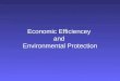 Economic Efficiencey  and  Environmental Protection